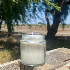 Handmade Soy Fresh Mountain Air Scented Botanical Jar Candle